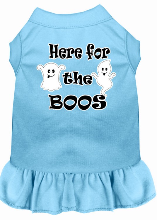 Here for the Boos Screen Print Dog Dress Baby Blue Sm